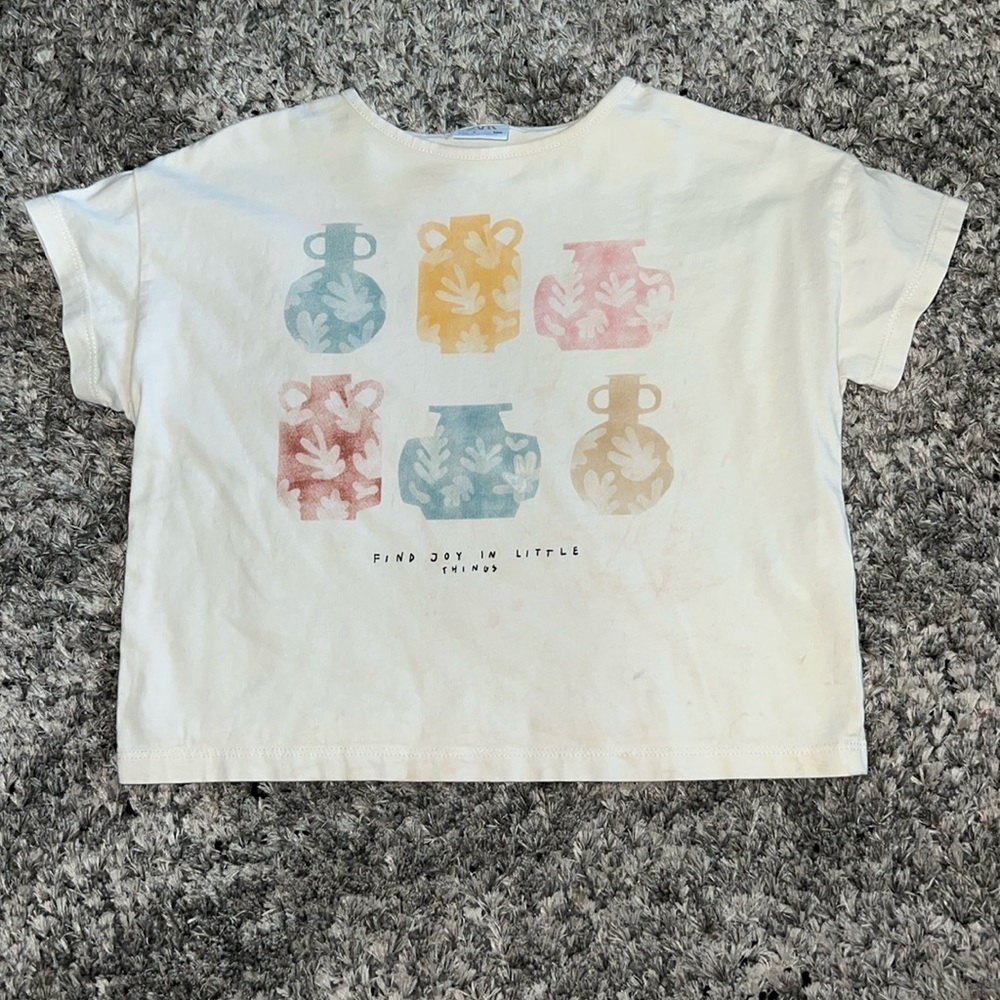 Zara Top